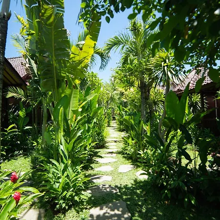 Kayu Village